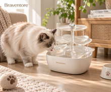 Braventore™ Dewdrop Canopy Water Fountain