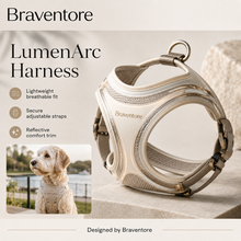 Braventore™ LumenArc Comfort Harness
